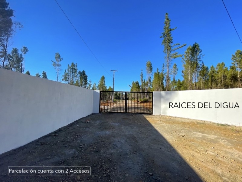 Parcelas en Parral, 5000M2, Raíces del Digua, Agua Potable