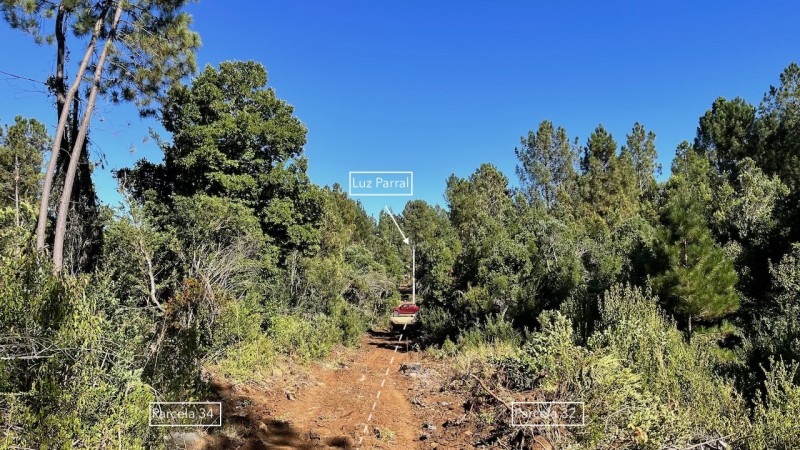 Parcelas en Parral, 5000M2, Raíces del Digua, Agua Potable