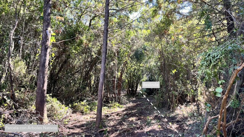 Parcelas en Parral, 5000M2, Raíces del Digua, Agua Potable