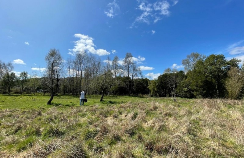Se Vende Hermosa Parcela Camino A Cunco Faja 16