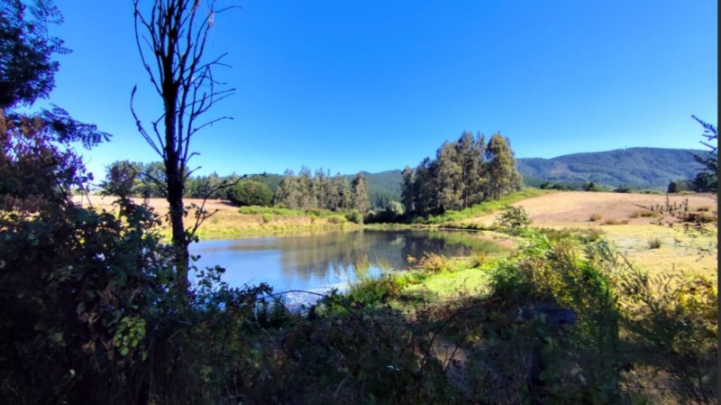 Se Vende Hermosa Casa Parcela Sector el Llano Lautaro