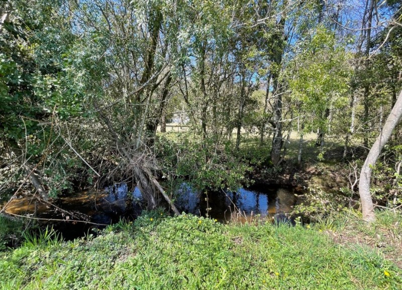 Se Vende Hermosa Parcela Camino A Cunco Faja 16