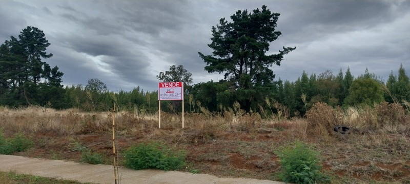 Venta Terreno Industrial – Parque Industrial Lautaro, Región