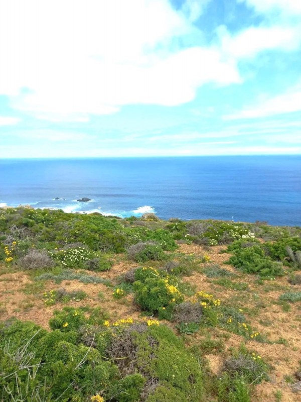 Vendo Parcela Rol Propio Costa Dorada Vista Al Mar Lo Ovalle