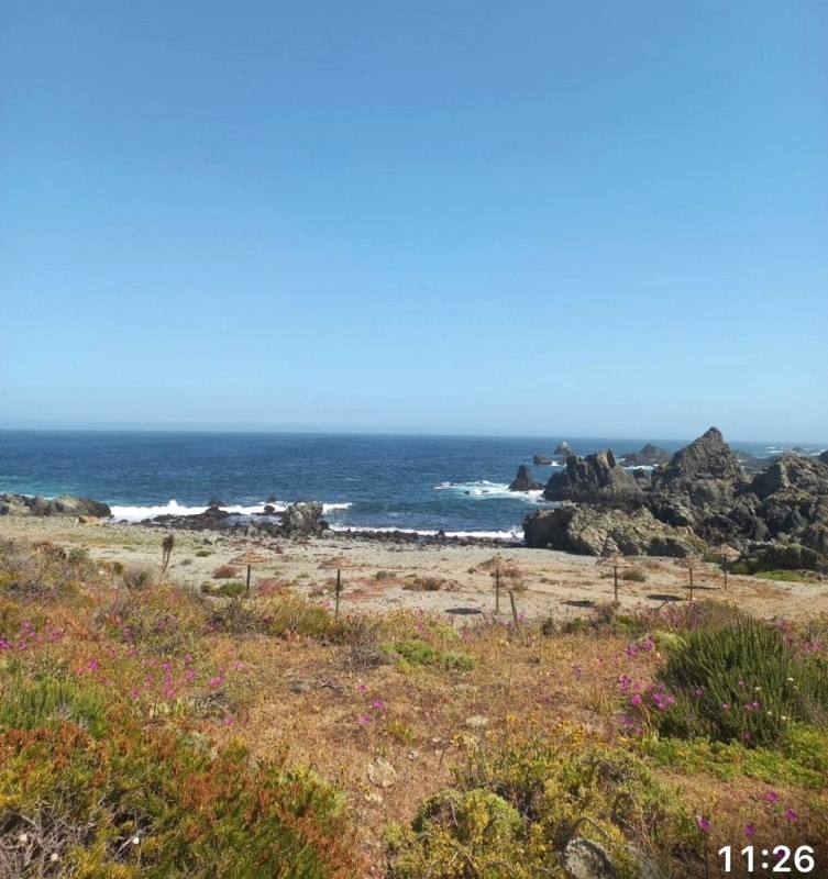 Vendo Parcela Rol Propio Costa Dorada Vista Al Mar Lo Ovalle