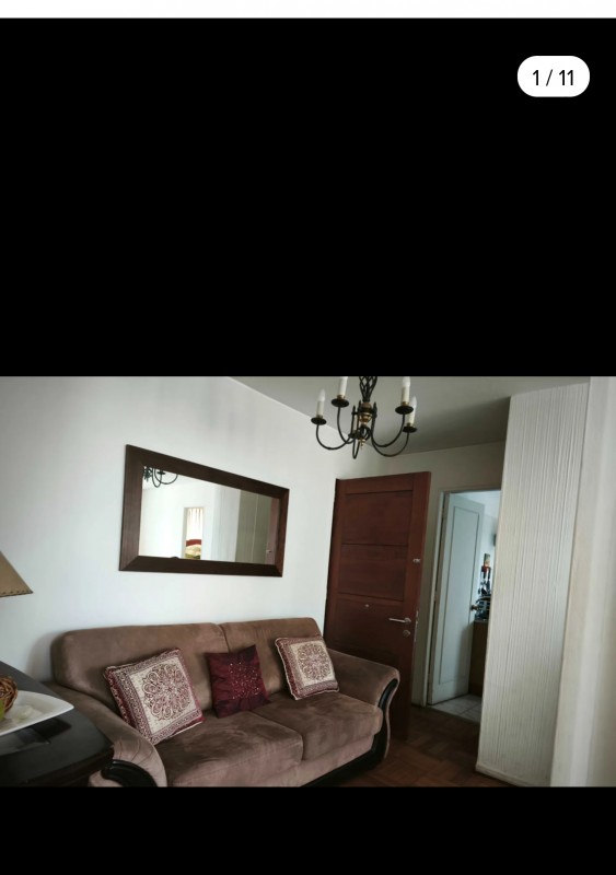 Amplio Departamento Viña