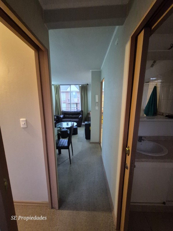 Arriendo Depto Amoblado 3D - 1B en Cond. San Felipe el Real