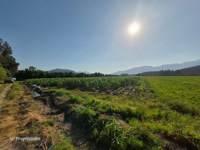 Vendo Terreno Agrícola 2 Há. Sector San José en Catemu
