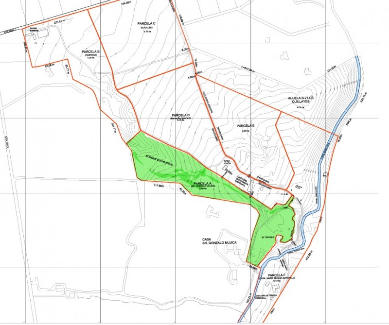 Entre Bosques, Maravillosa Parcela de 4 Há