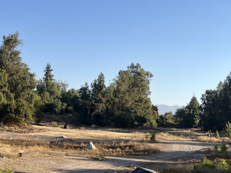 Entre Bosques, Maravillosa Parcela de 4 Há