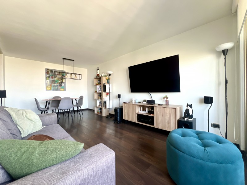 Plaza Eusebio Lillo, Vista Despajada 3D2B + 1E1B