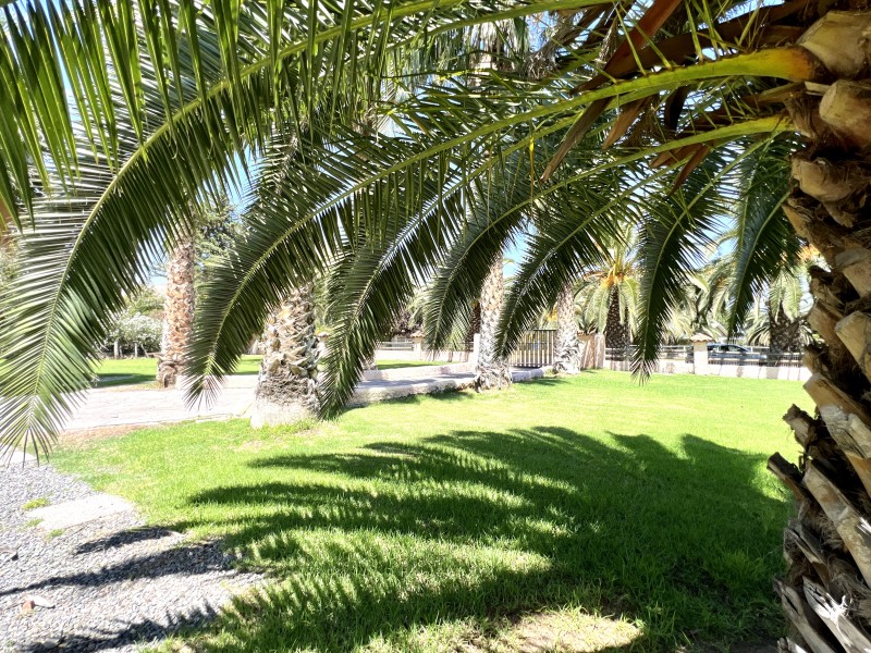 Gran Casa Con Parque, 5D4B + Estar + Depto + Bodegas