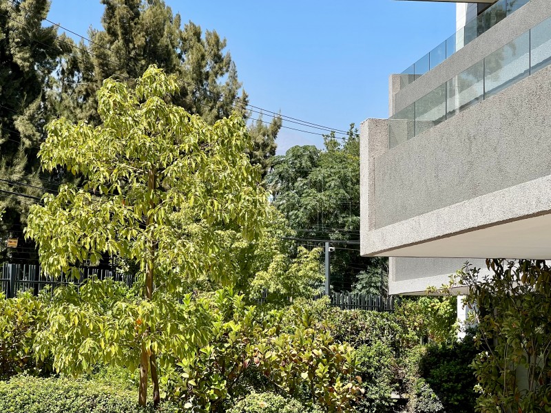 Increible Terraza, Seminuevo 3D3B+Estar+3E1B
