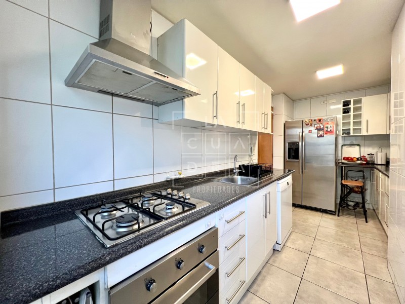 Amplio, Bien Conectado, Remodelado 4D3B+1E1B