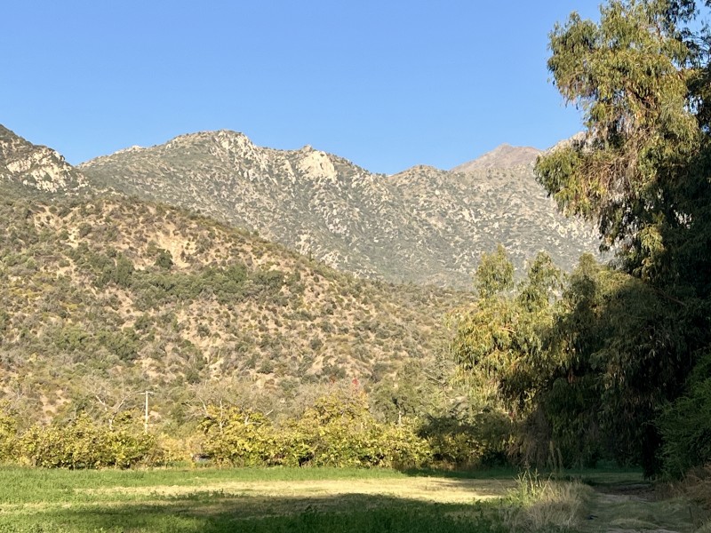 Entre Bosques, Maravillosa Parcela de 4 Há