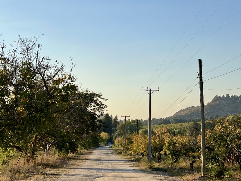 Entre Bosques, Maravillosa Parcela de 4 Há