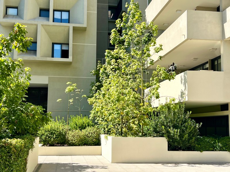 Maravilloso Duplex, Rooftop 4D4D+Servicio+2D1B