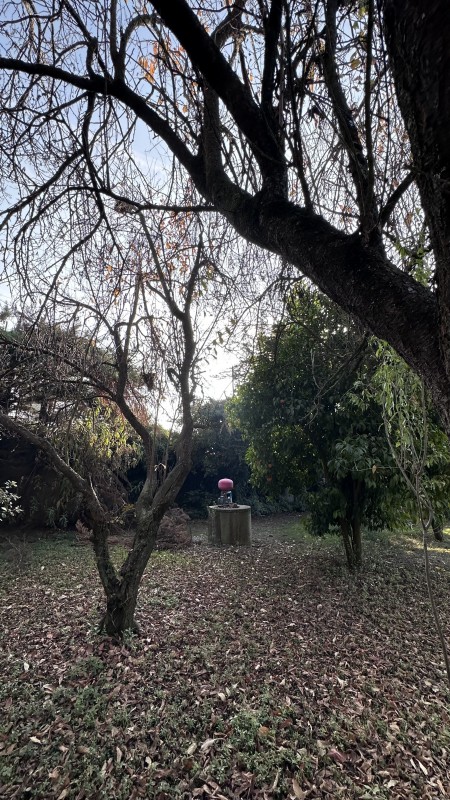 Hermosa Casa de Campo A Minutos de la Ciudad de Linares