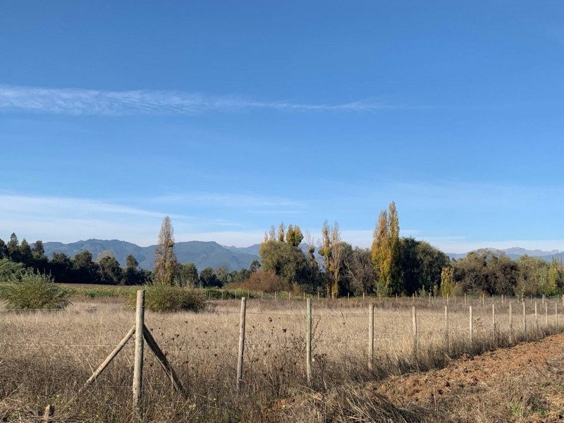 Hermosa Parcela de Agrado. Km 10 Camino A Panimavida.
