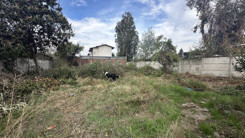 Insuperable❗️terreno de 796 M2 Calle Maipu Linares