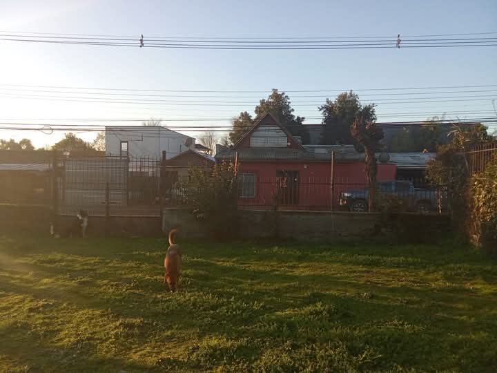 Propiedad Urbana de 750 M2 Calle Rengo. Linares