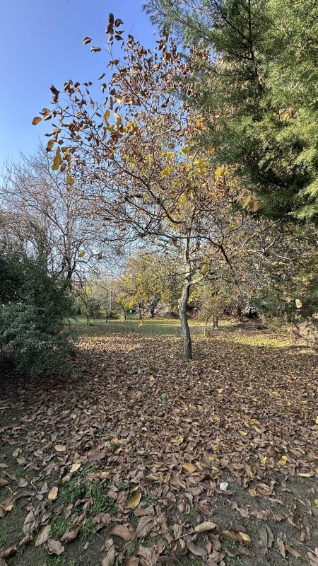 Hermosa Casa de Campo A Minutos de la Ciudad de Linares