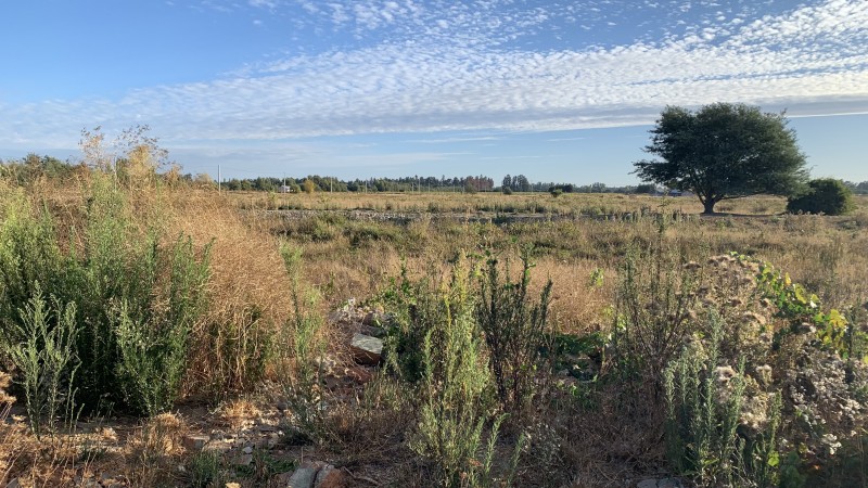 Parcela de Agrado, Loteo Santa Marta los Batros, Linares