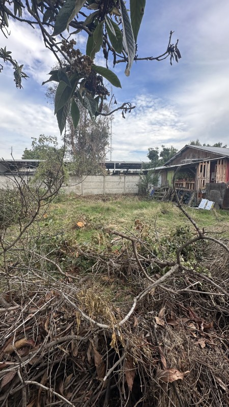 Insuperable❗️terreno de 796 M2 Calle Maipu Linares