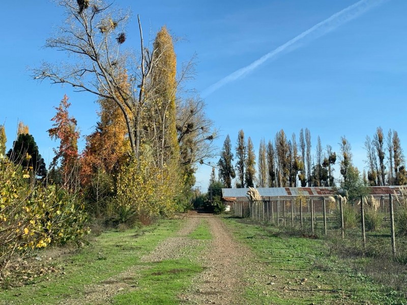 Hermosa Parcela de Agrado. Km 10 Camino A Panimavida.