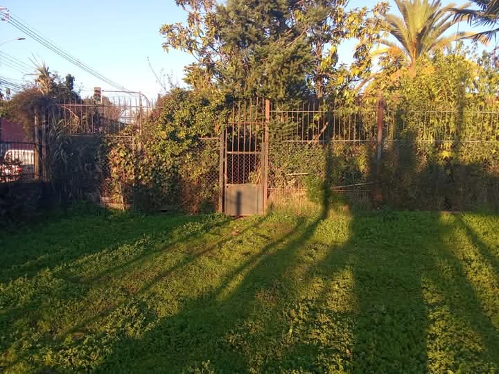 Propiedad Urbana de 750 M2 Calle Rengo. Linares