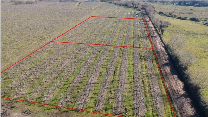 5000 M2 Lado Carretera Llano Blanco