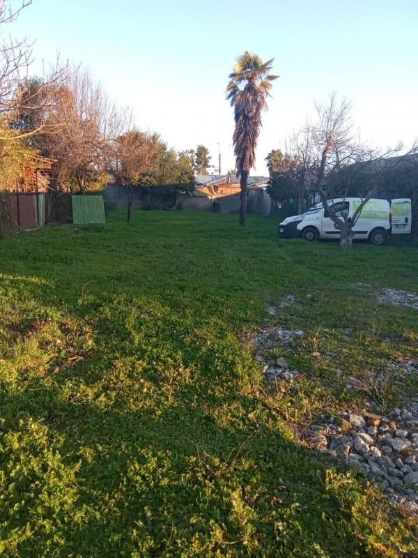 Propiedad Urbana de 750 M2 Calle Rengo. Linares