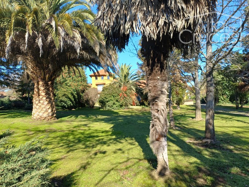 Casa en Loteo Caupolicán Pencahue