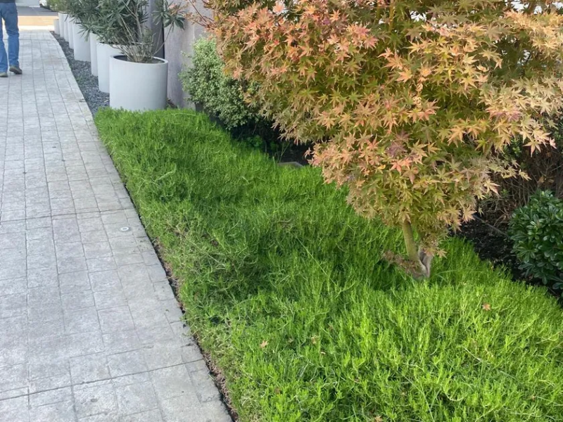 la Florida, Oportunidad! Venta Departamento 3D-2B