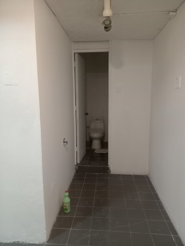 Concepción: Se Arrienda Local Comercial Pleno Paseo Peatonal