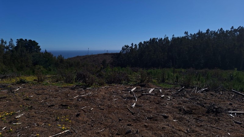 Venta de Terreno Con Vista Al Mar, Sector Taucu_Cobquecura