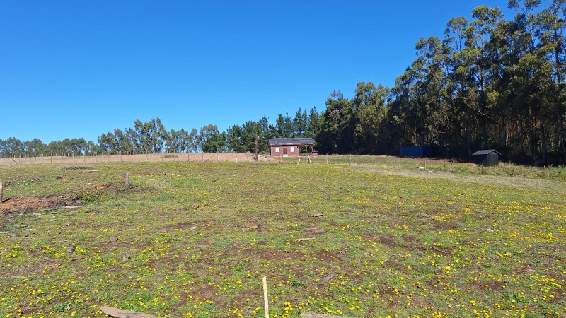 Venta de Terreno Con Vista Al Mar, Sector Taucu_Cobquecura