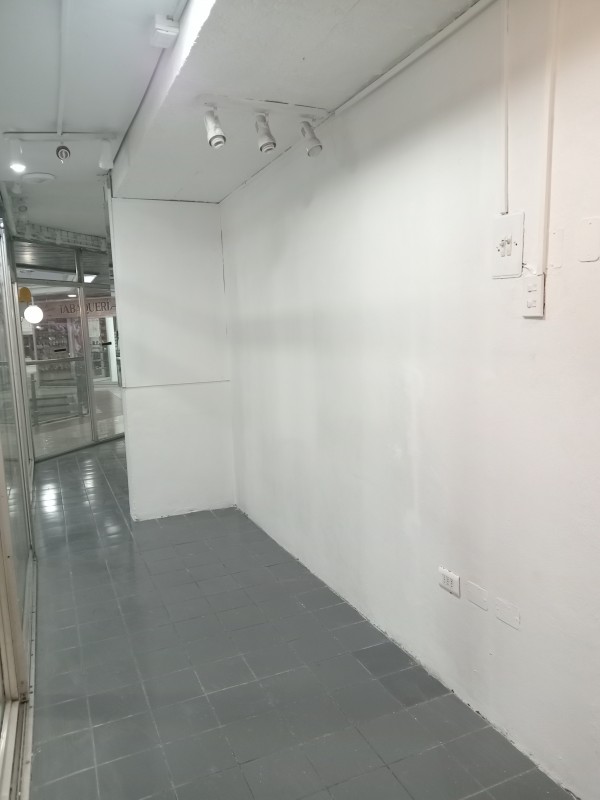 Concepción: Se Arrienda Local Comercial Pleno Paseo Peatonal