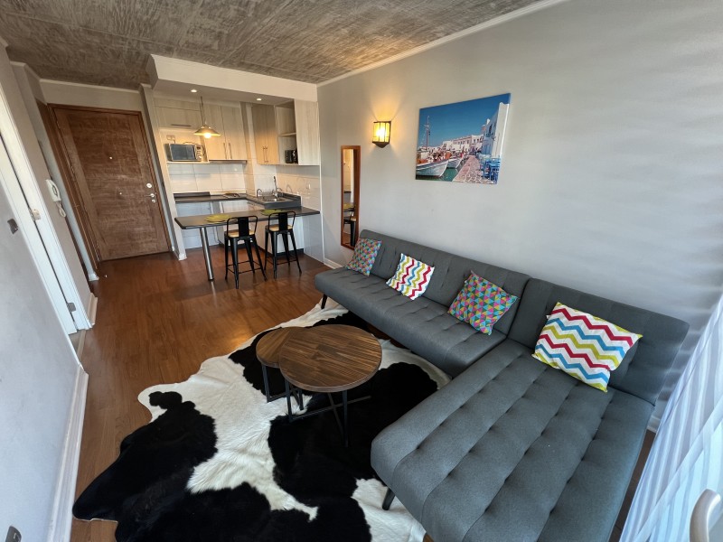 Hermoso Dpto Amoblado de 1 Dormitorio en Terraza Cordilleras