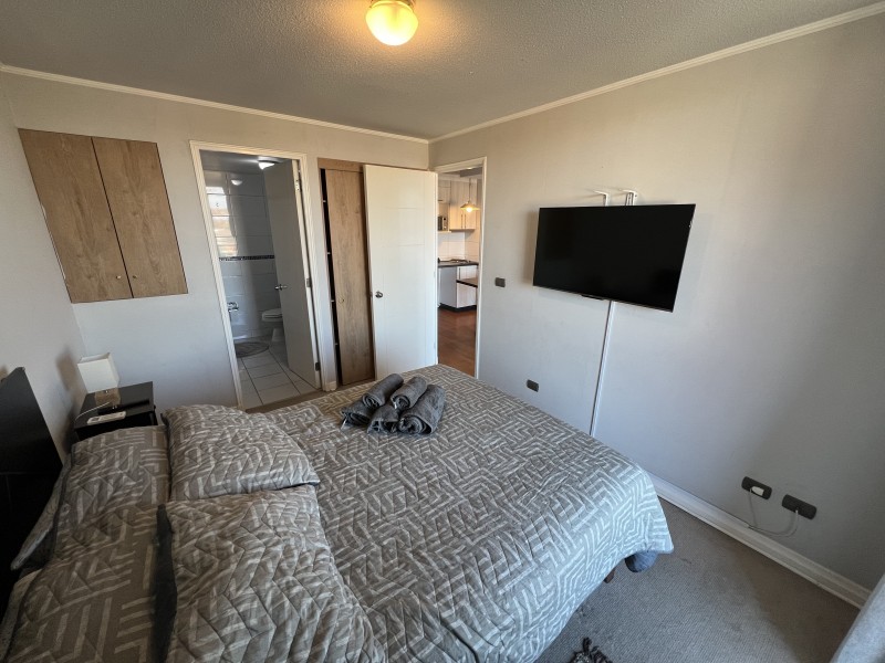 Hermoso Dpto Amoblado de 1 Dormitorio en Terraza Cordilleras