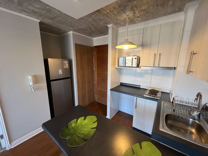 Hermoso Dpto Amoblado de 1 Dormitorio en Terraza Cordilleras