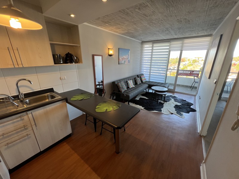 Hermoso Dpto Amoblado de 1 Dormitorio en Terraza Cordilleras