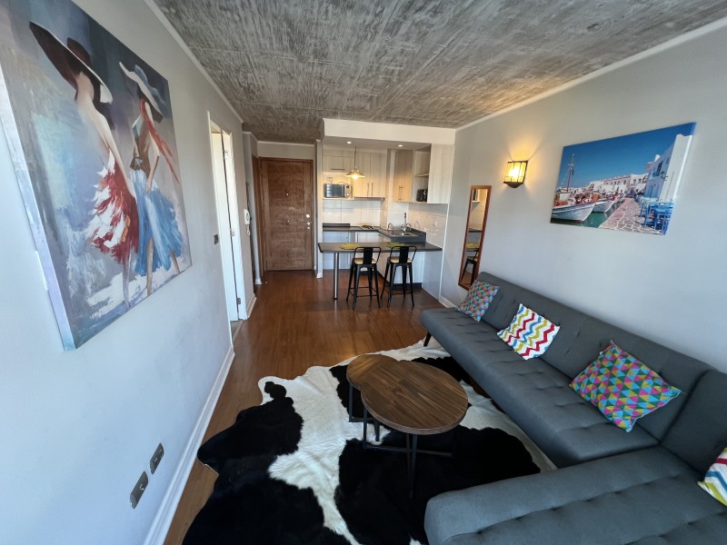 Hermoso Dpto Amoblado de 1 Dormitorio en Terraza Cordilleras