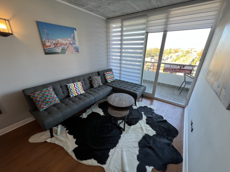 Hermoso Dpto Amoblado de 1 Dormitorio en Terraza Cordilleras