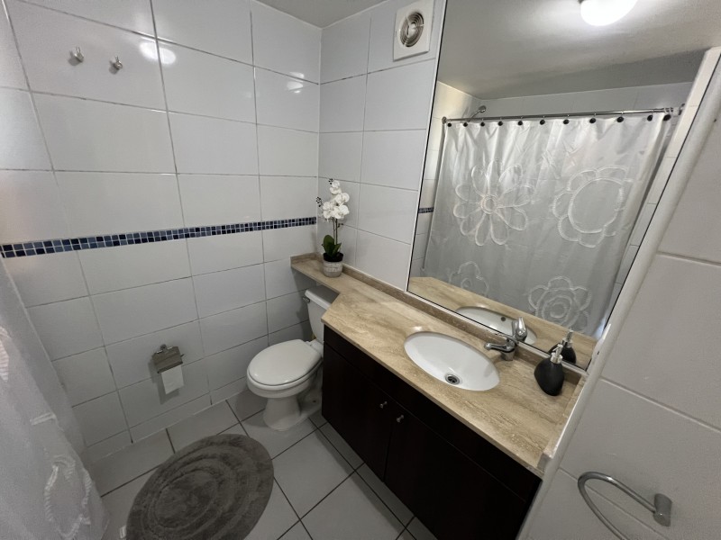 Hermoso Dpto Amoblado de 1 Dormitorio en Terraza Cordilleras