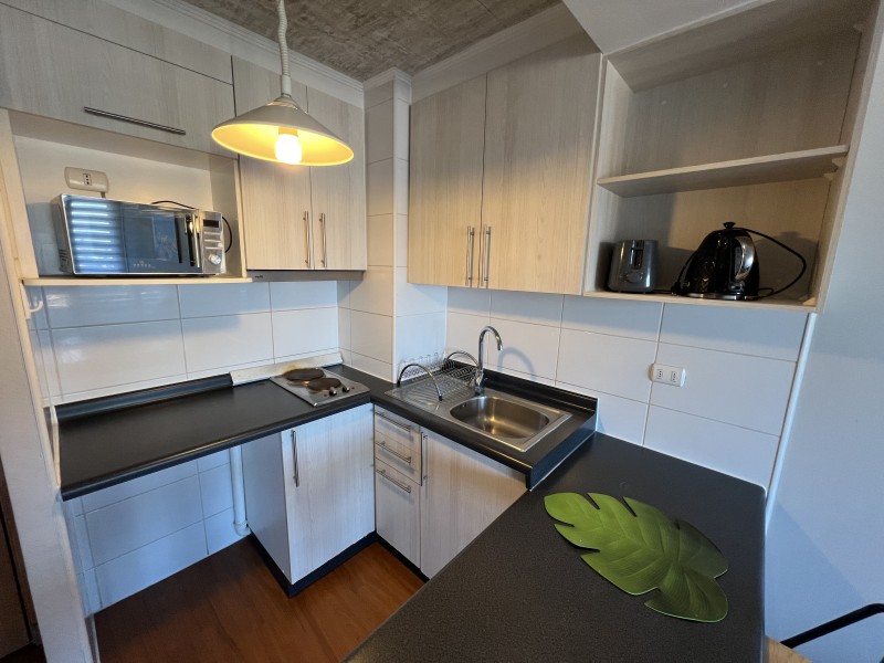 Hermoso Dpto Amoblado de 1 Dormitorio en Terraza Cordilleras