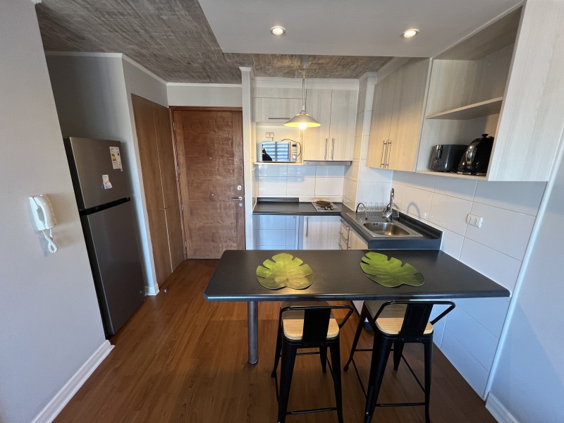 Hermoso Dpto Amoblado de 1 Dormitorio en Terraza Cordilleras