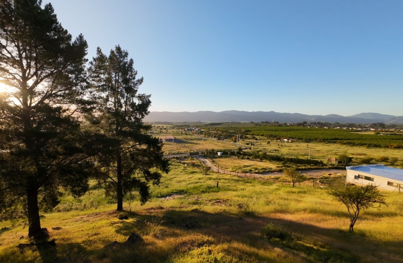 Parcela de 5.860 Mts2 en Loteo San Andres del Peral Pencahue