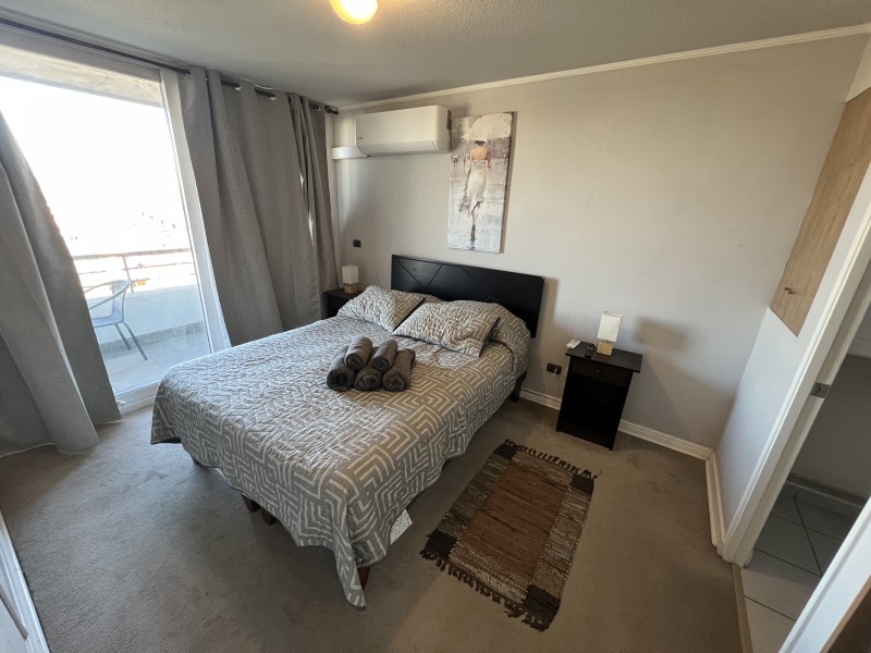 Hermoso Dpto Amoblado de 1 Dormitorio en Terraza Cordilleras