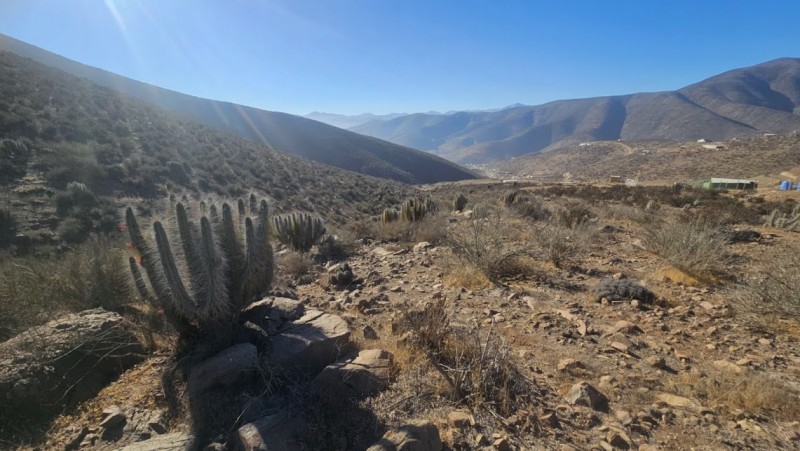Terreno en Venta en el Romero, la Serena